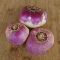 Rapa autunnale tonda a testa rossa (Brassica rapa ssp....