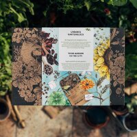 Le gioie del giardinaggio urbano - Set per la...
