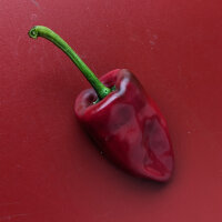 Peperoncino Poblano (Capsicum annuum) semi