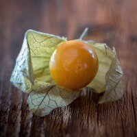 Ribes del Capo / Uciuva (Physalis peruviana) semi