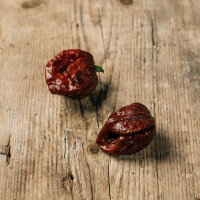 Peperoncino Trinidad Scorpion Chocolate (Capsicum...
