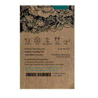 Bocca di leone Orange Wonder (Antirrhinum majus)  semi