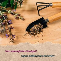 Antiche varietà speciali di pomodoro - set regalo di semi